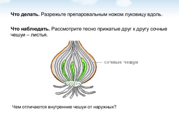 Кракен шоп зеркало