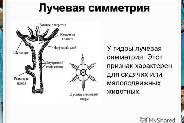 Ссылка на кракен официальный сайт